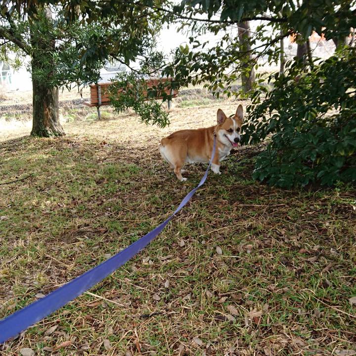 2ab3b2c2 9764 4c92 a719 b173493915f5 1581560320161