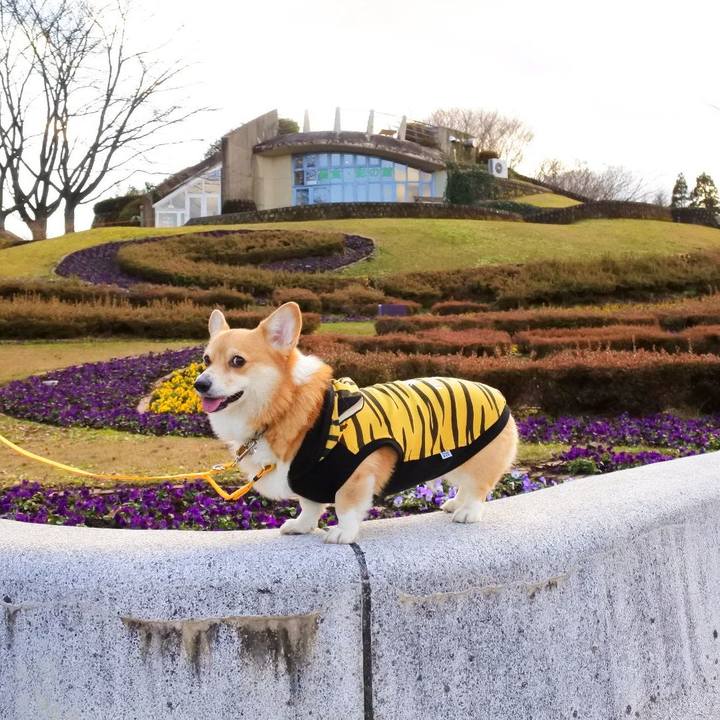 2ab3c0ea 2bd7 43b5 b820 d9db14a6df56 1667651061239