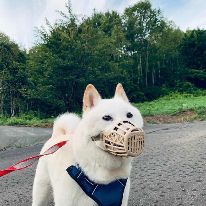 2ab3eb77 c17e 4d9d 87bb df408c762ecb 1629751871410