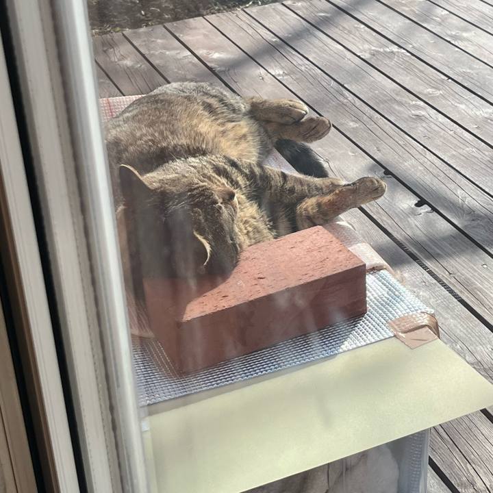 2ab44e0f f3c2 4035 bd6b 98bbf8c82c5a 1746569883925