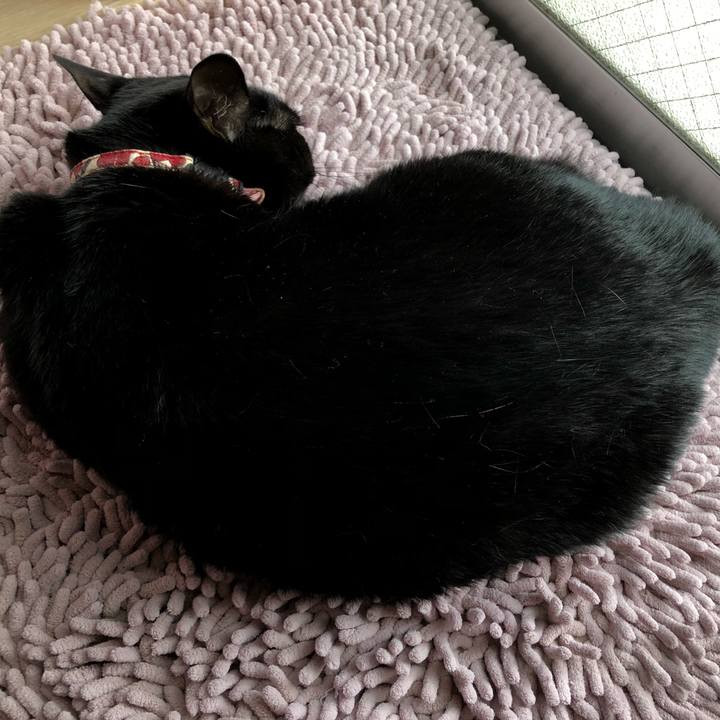 2ab4818f d006 482c 9442 22b2073f24c0 1595057467346