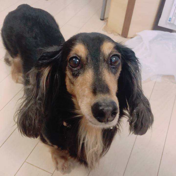 2ab486d1 86fc 4bde be40 9945a052376c 1587432068706