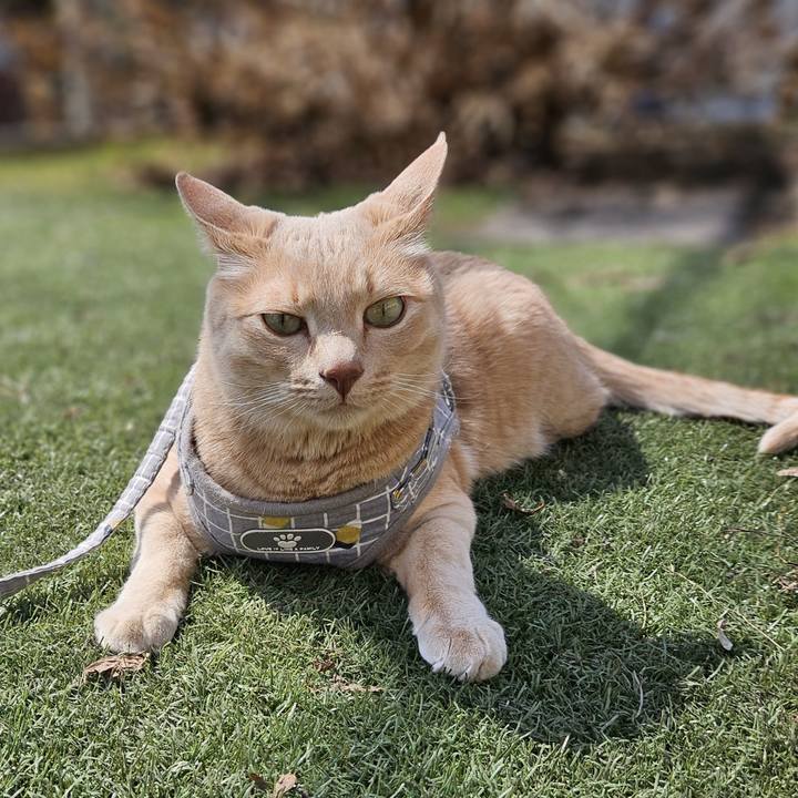 2ab4992a 6b3f 4af7 aabf 9e797a5d1c39 1713061441238