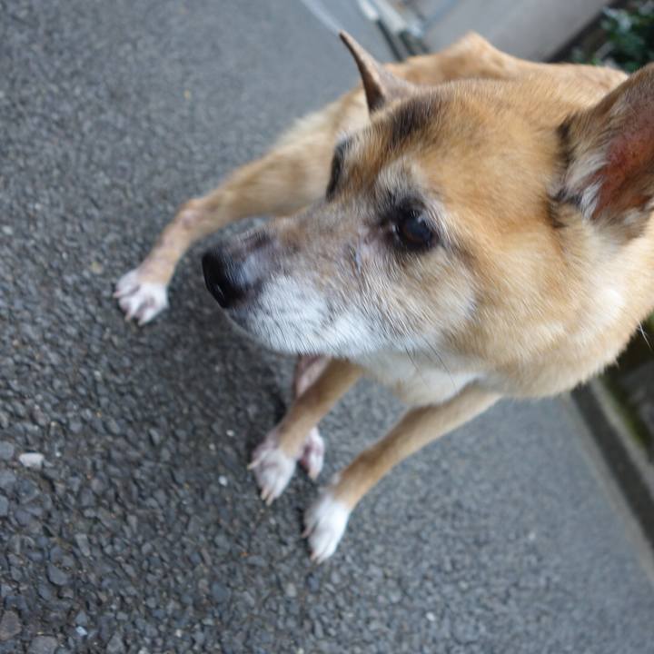 2ab4a257 69c2 4b12 8666 1b95d1032641 1566167881762