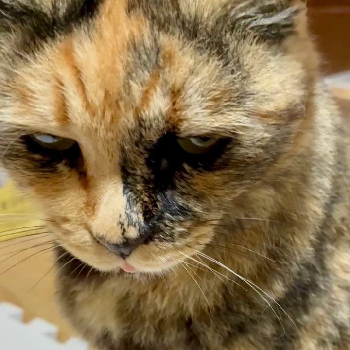 2ab4a762 e94d 4fb3 beed 0a8188cd6416 1750844350752