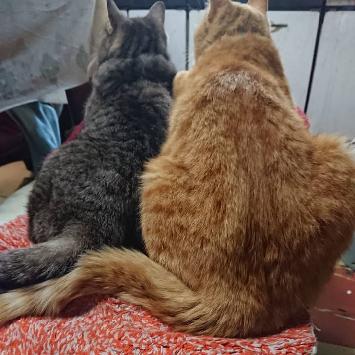 2ab4a7bf c7ff 4fd9 8bdb e00acc051d76 1557277846457