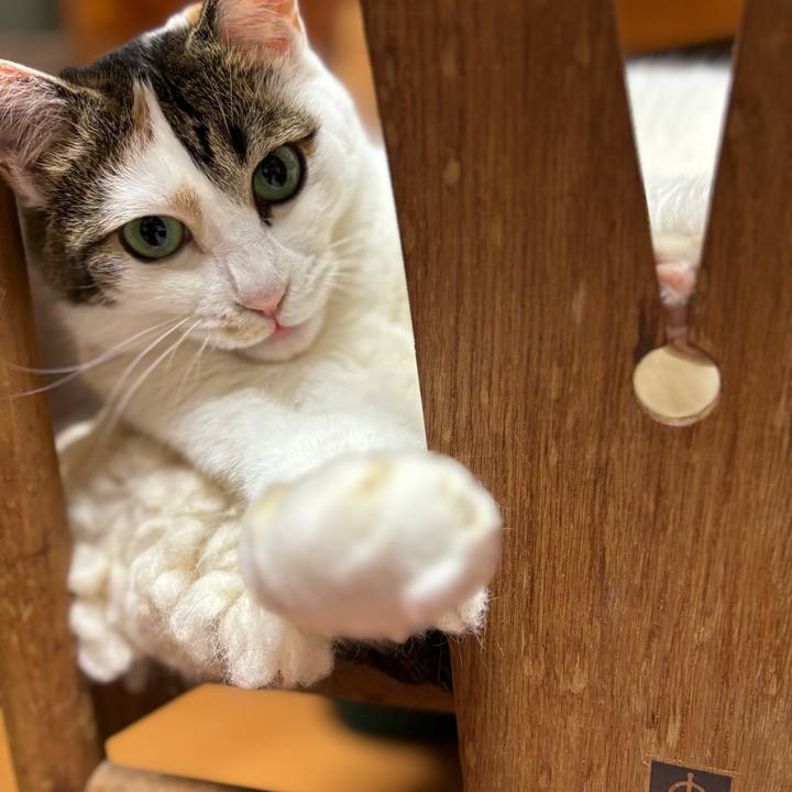 2ab4b7a7 3bc3 4ee9 bfb9 ef807701f3c8 1715259873260