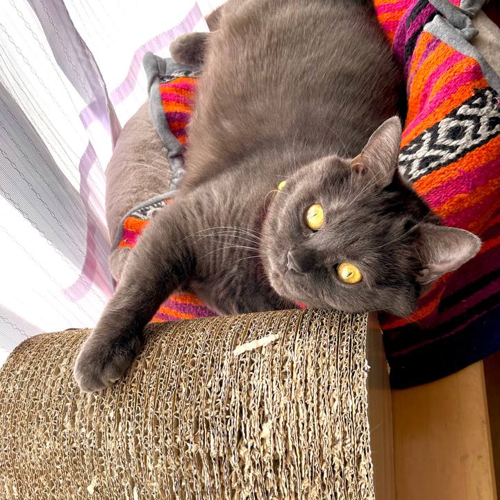 2ab4c704 2625 4d9f 8682 53ab136b5256 1763765704989