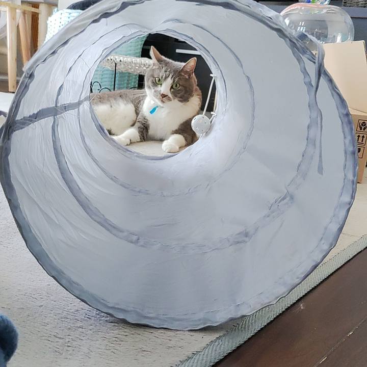 2ab4f5df 1710 4cb1 8a3f fecb977d1eba 1714800769176