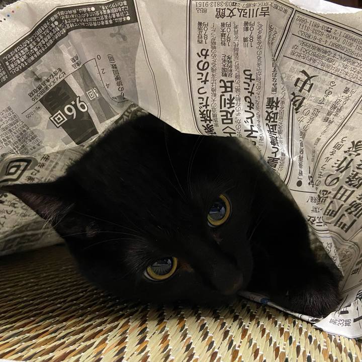 2ab4f7f9 6c04 4c35 880f b67607db0e16 1621596069084