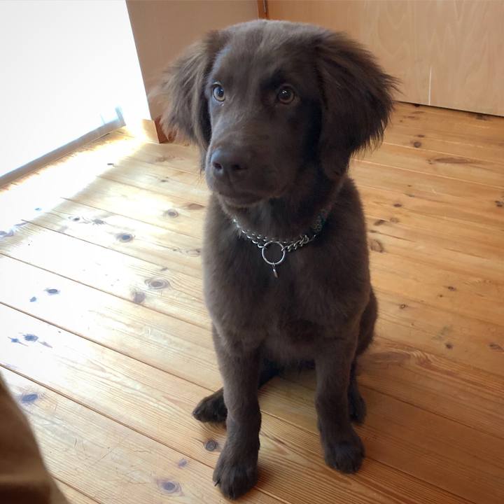 2ab5031c d40f 47dc ab42 8f24e669e626 1554736070021