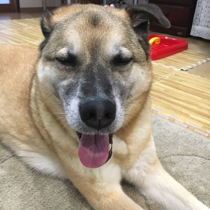 2ab52e61 894f 4b2f b885 99619ed3e4c7 1523012156629