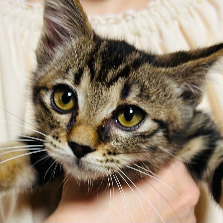 2ab56584 a9e6 4cc5 b652 859cf5412a3b 1725969919249