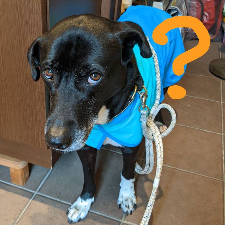 2ab56e81 18cf 4a9b aeae 3203a8346244 1683505363256