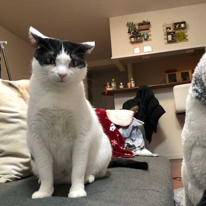 2ab5ad52 30ec 4235 9ffa 4949addd4db6 1518147518277