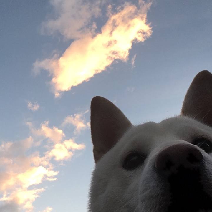 2ab5adc6 59a2 40b7 8107 ec19509caae6 1509608580184