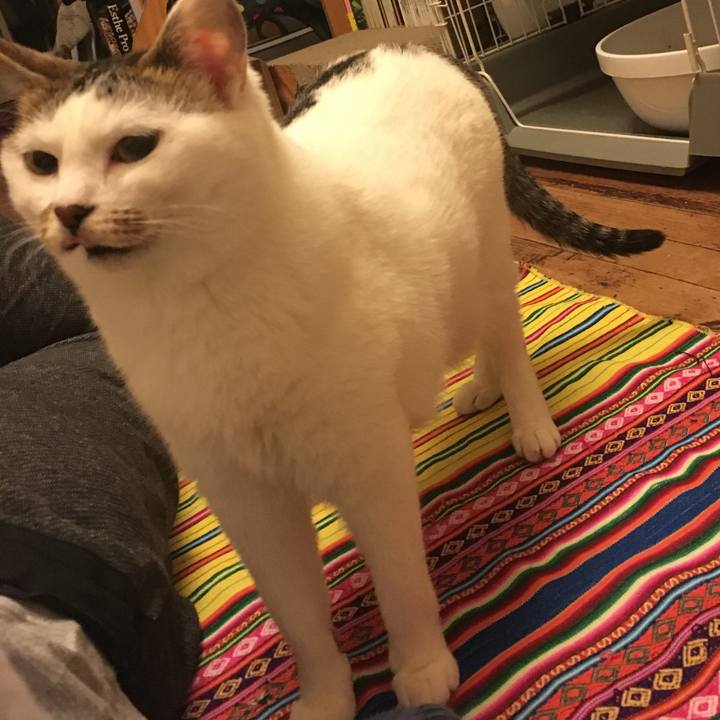 2ab5f585 7827 4a24 a1ac cdeb9b7b8f8f 1524616984139