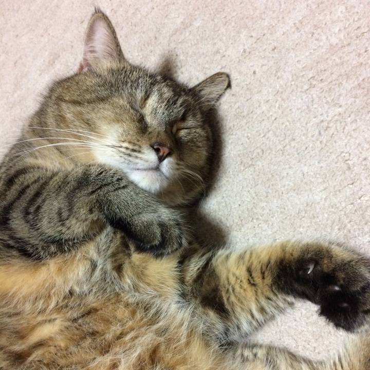 2ab5fd7f 878f 4a26 a909 f79d1507ec71 1569447704811