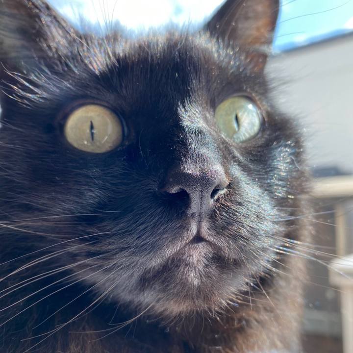 2ab63d23 f1fa 4f92 bd91 bcf58f8c4edf 1584688810001