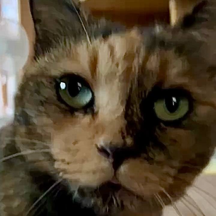 2ab68939 ae65 4c52 92ef e5fbcfcf6d93 1757901857259