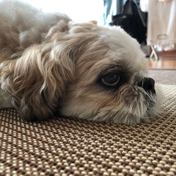 2ab6b094 95bc 4da4 b659 0f00a43344bf 1595886758067