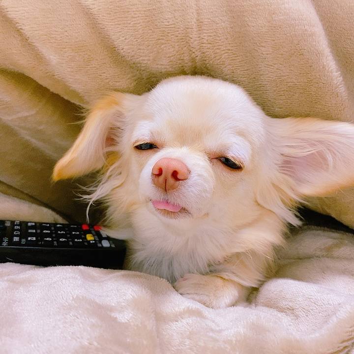 2ab6d5c2 448e 4731 9d90 a732fd80a2ef 1613100269828