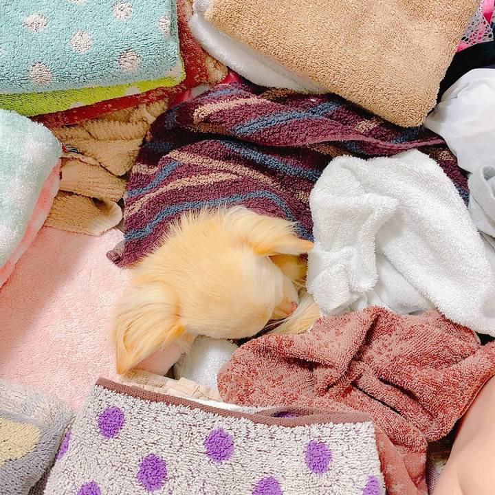 2ab6fb50 9bf1 4657 81f3 c105a0203464 1622023867837