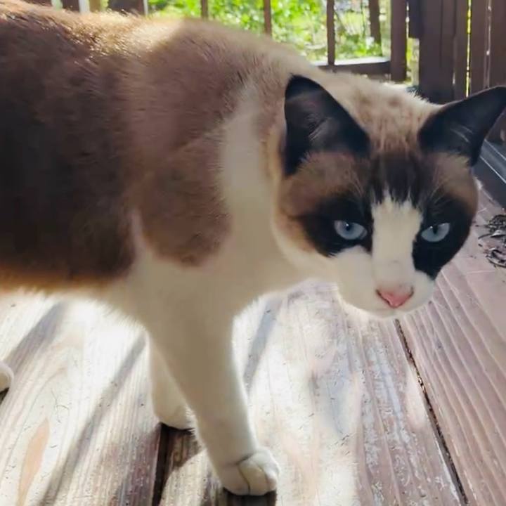 2ab74412 ca8f 4b91 b8df 88d290339a03 1735016197845