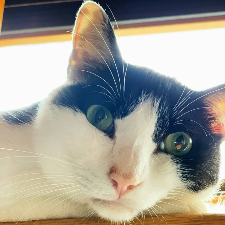 2ab78fd6 8311 4153 95b0 59f5eab1396d 1595900972198