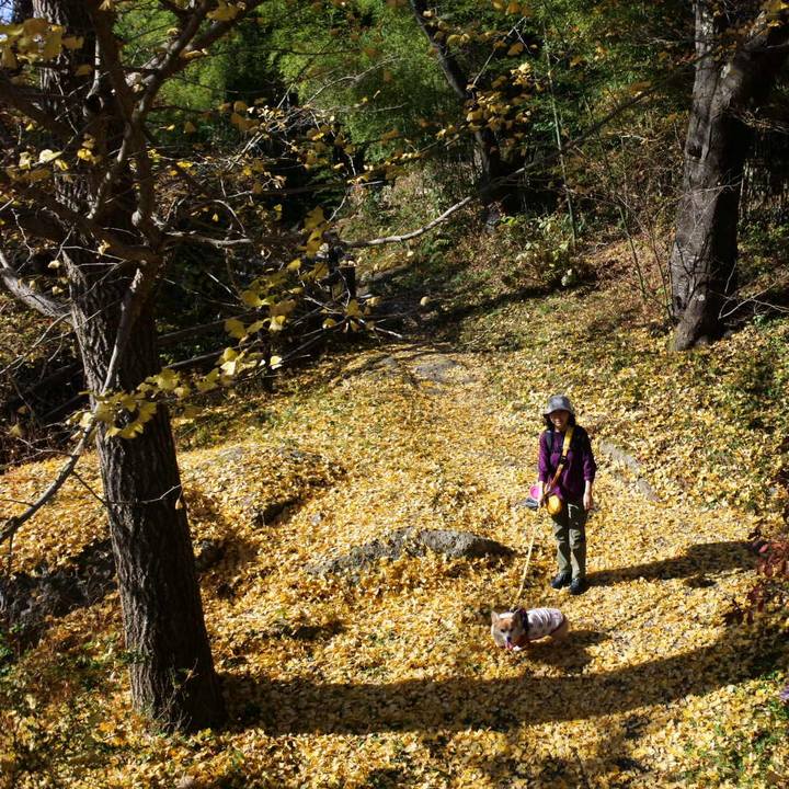 2ab7db15 9bd7 4979 ba8e c695d7c4c9c0 1668932938431