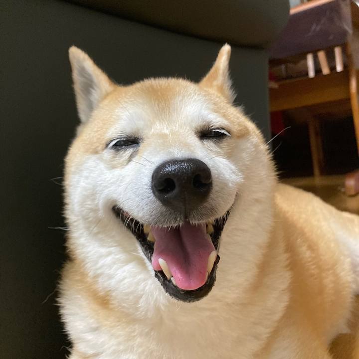 2ab7dc01 54cb 4fb4 8fdc b27c5e5a739a 1628168825372