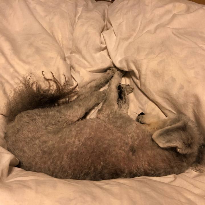 2ab7fd65 8aaa 4c52 a7d7 dc9acd6a1fe0 1589348762994