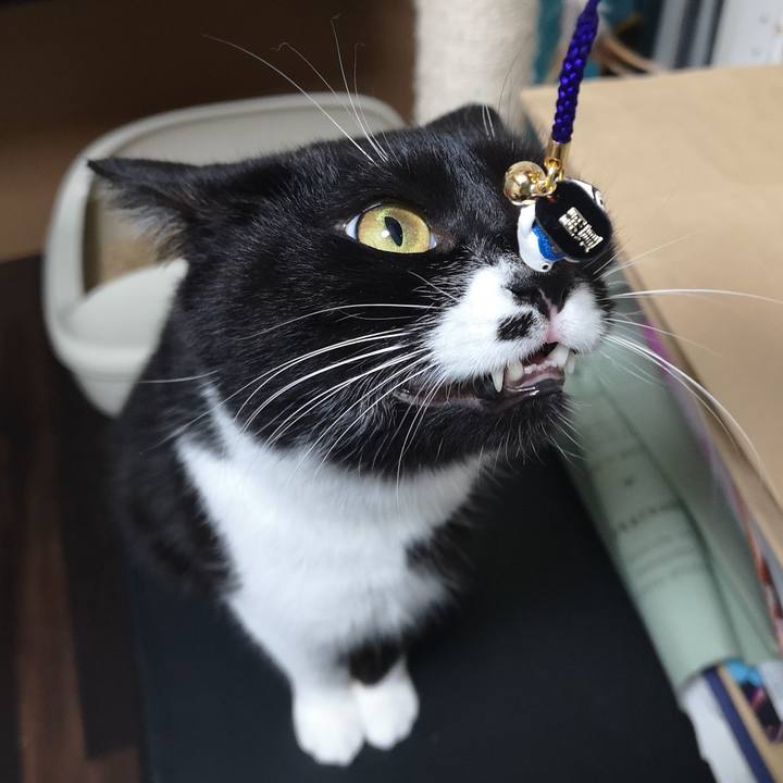 2ab805d2 b401 41bb 8870 c7aeff576af2 1543490791700