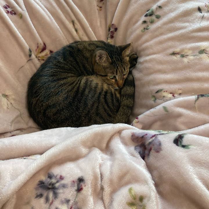 2ab80fea 49a9 43b8 b8b1 70de5cd98d76 1681029435524