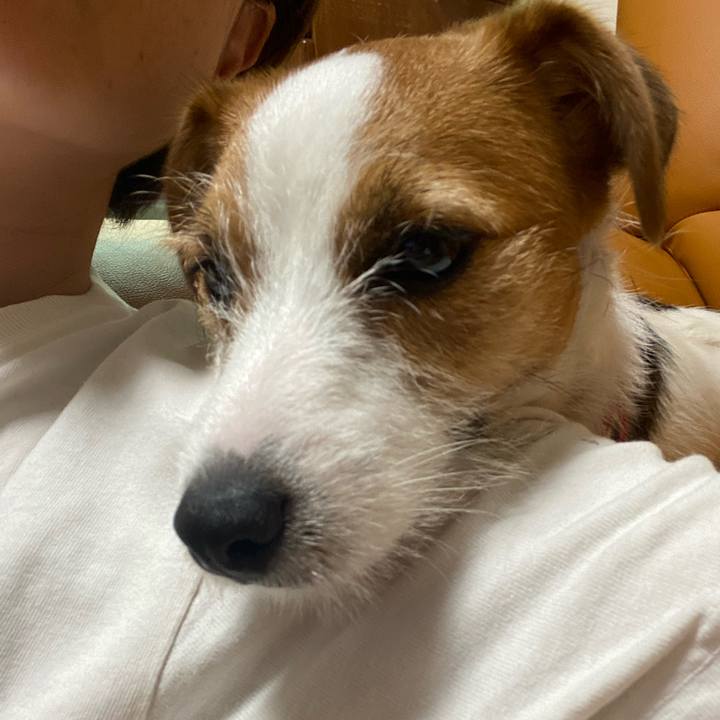 2ab838fa f563 4840 9759 f0ff98cd6dd7 1623937877605