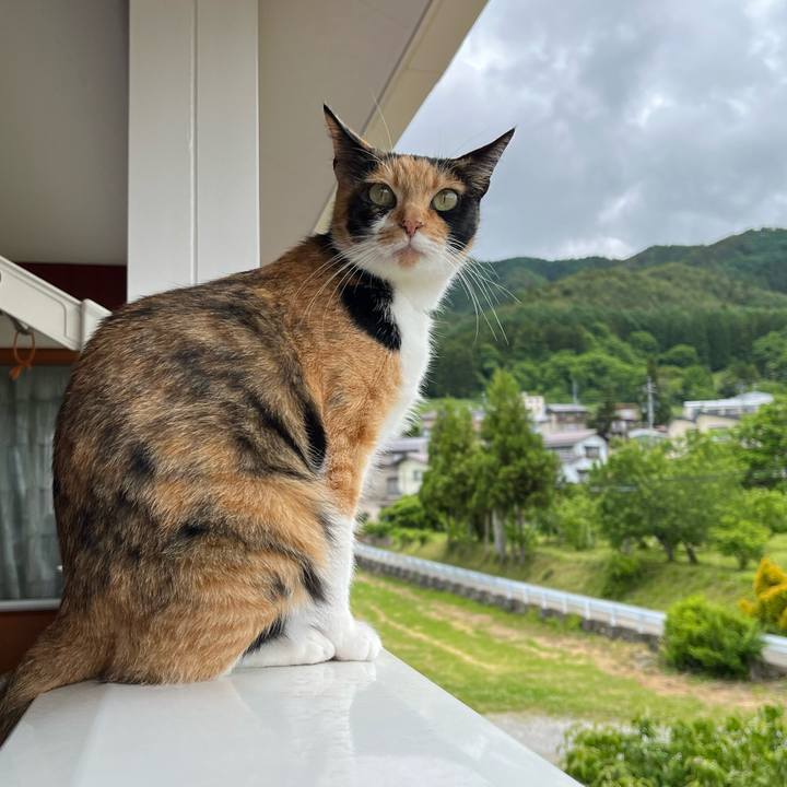 2ab83a4d be87 4363 a05b add9af27039d 1654577852112