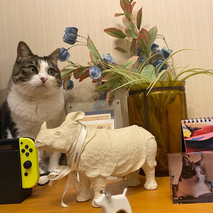 2ab84f6e cdec 4543 91e3 cd6b2e77df7d 1621914040136