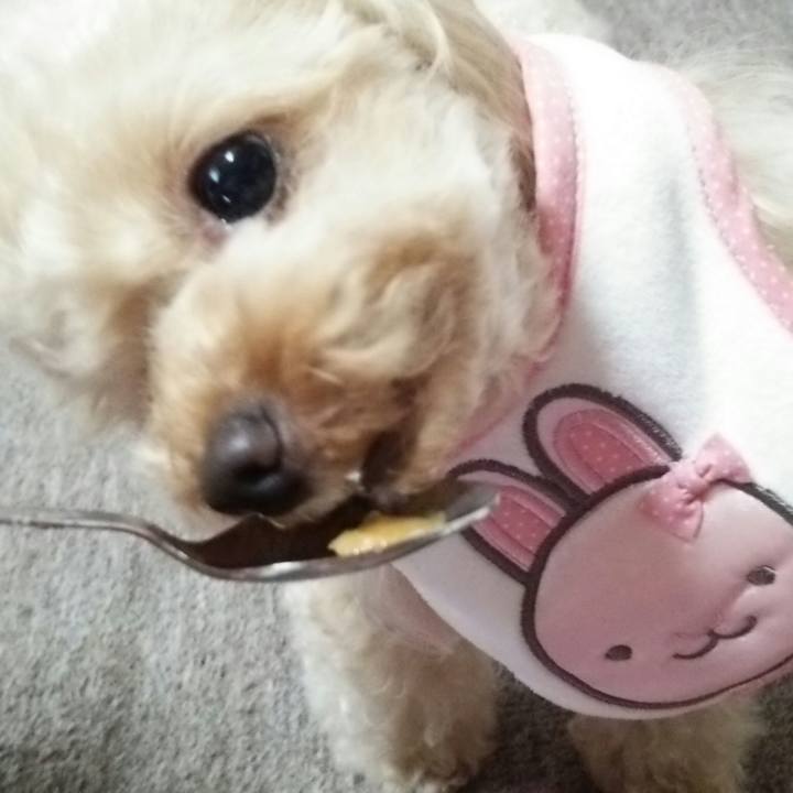 2ab852e1 7e83 4993 80bf c52141baa60b 1532563797294