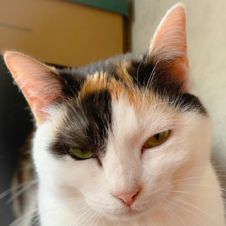 2ab8f1c6 e028 4375 9832 8c6a4ca6686c 1560218377604