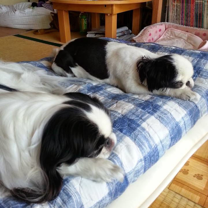 2ab90b3e 9e9a 402b 82b0 189fffcdbf7a 1691876036068