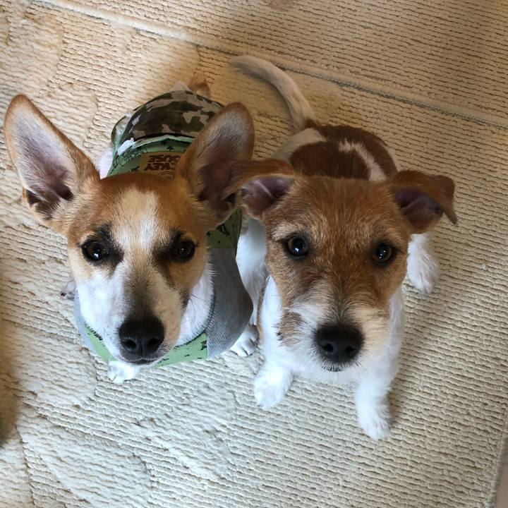 2ab922c5 9d64 49bf 9433 83b9f78efb0b 1576391136670