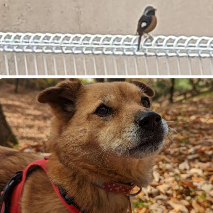 2ab930c3 35ff 4efa 92ce b0053f1cd305 1673775681901