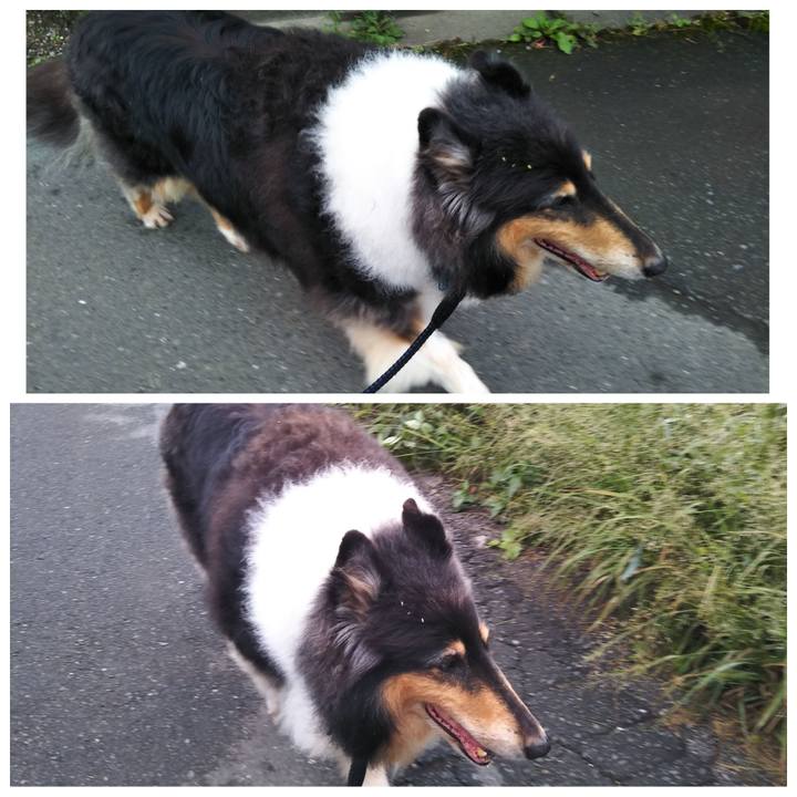 2ab95889 b727 47e4 bdd3 fc1f822dbe54 1568897195330