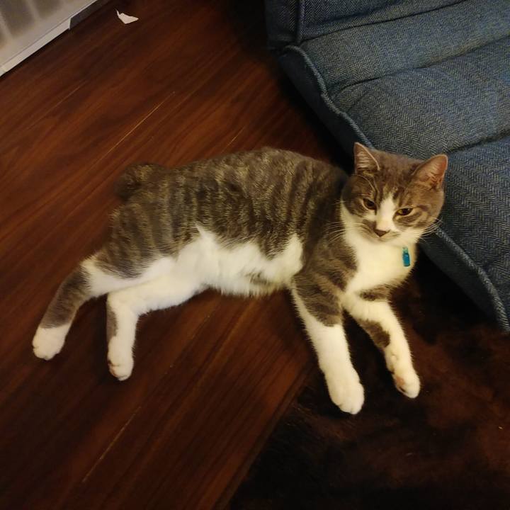 2ab974a6 1f64 4f95 98bb 2d3eca2d8a08 1578440766172