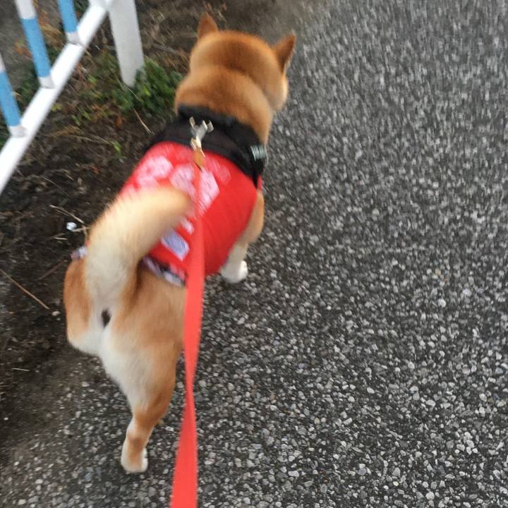 2ab9a3cc 8087 4298 b2ce 5ddaa31e0858 1608022463541