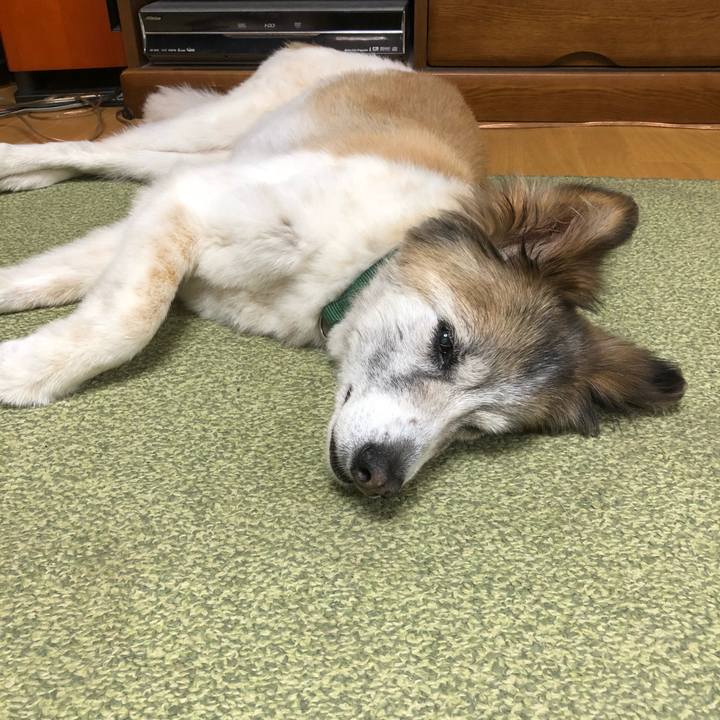 2ab9ccd8 0f0d 4c45 b562 d7cf28fa5b95 1534390711835