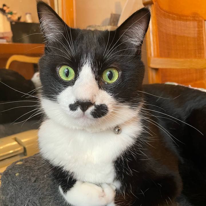 2aba0905 e843 4940 9433 e8843c791422 1665883658821