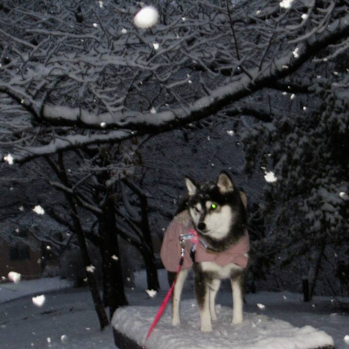 2aba0a1c af59 4a56 8b64 702bae754ae5 1703151682229