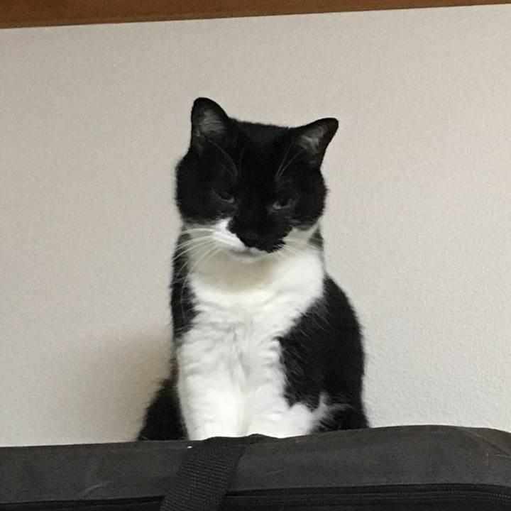 2aba1743 56b1 4ef1 9c5e 63ab1fcb909b 1530559037212