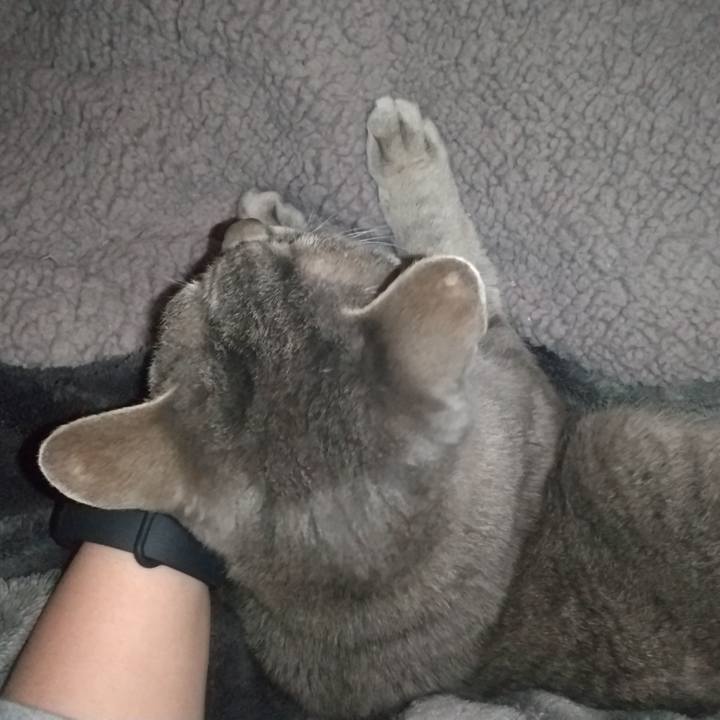 2aba20bf c22d 4485 98d6 622afd821180 1683900349129